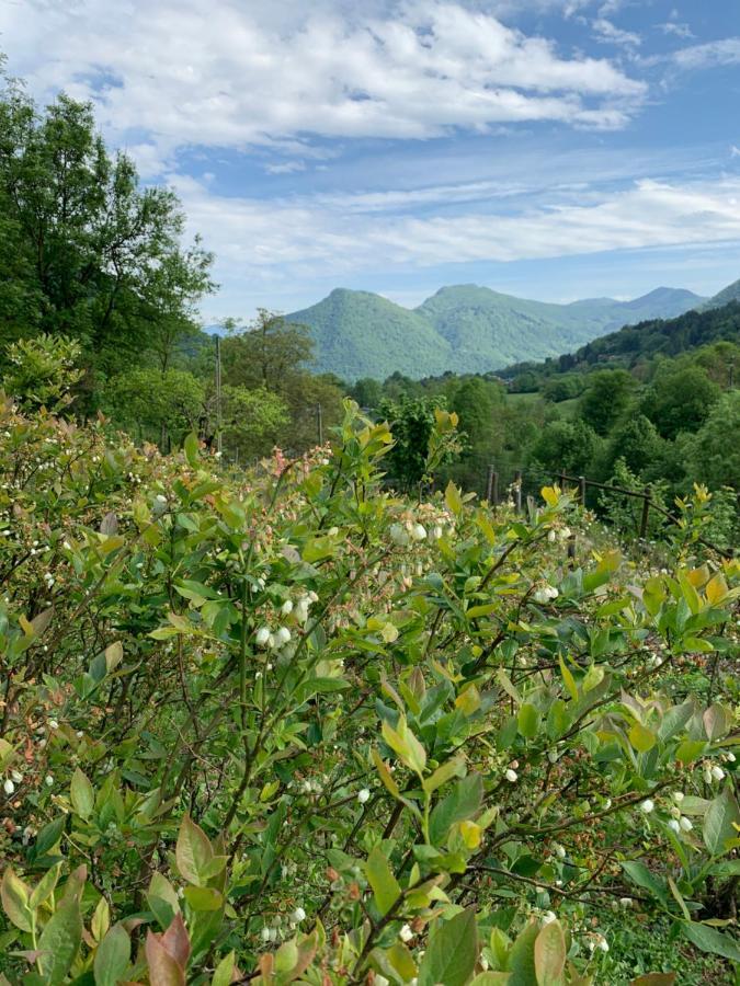 Vakantieboerderij Il Talento Nella Quiete