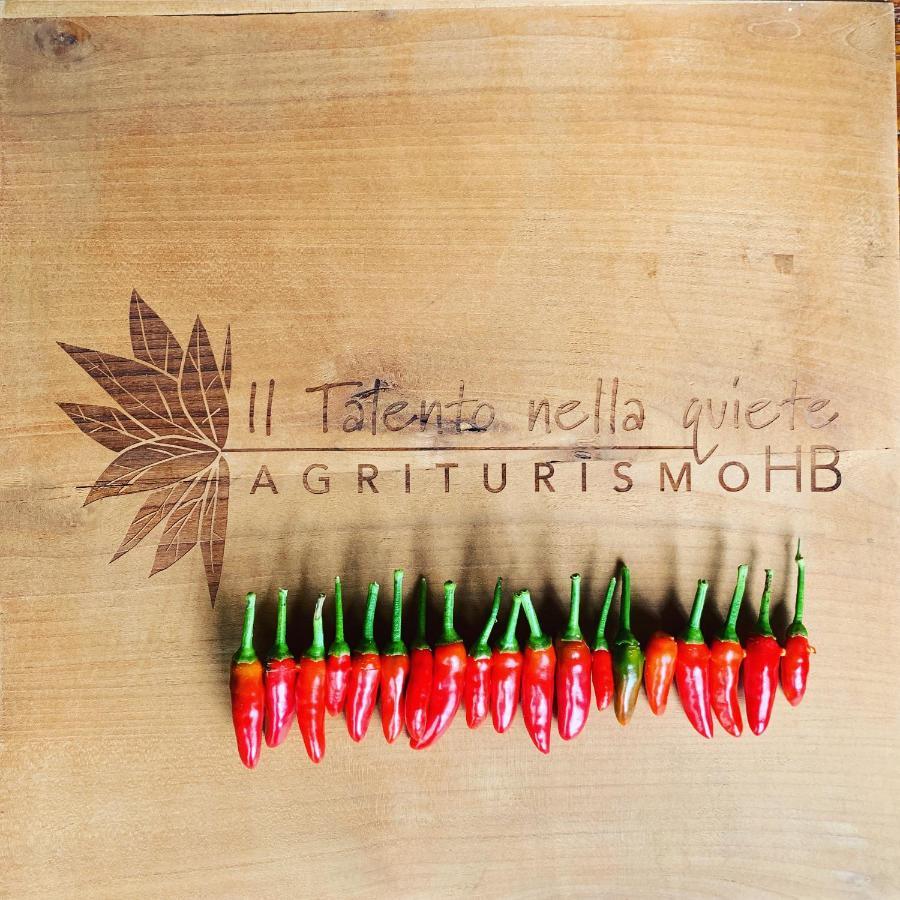 Bauernhof Agriturismo Il Talento Nella Quiete