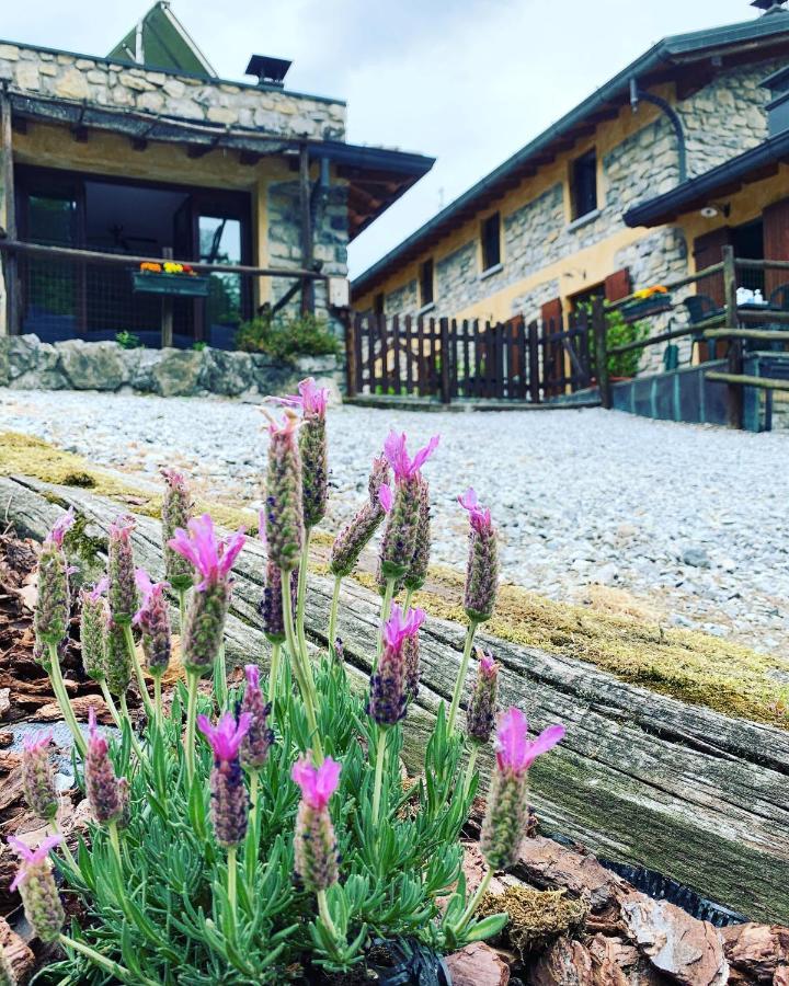 Agriturismo Il Talento Nella Quiete Bauernhof Castiglione dʼIntelvi