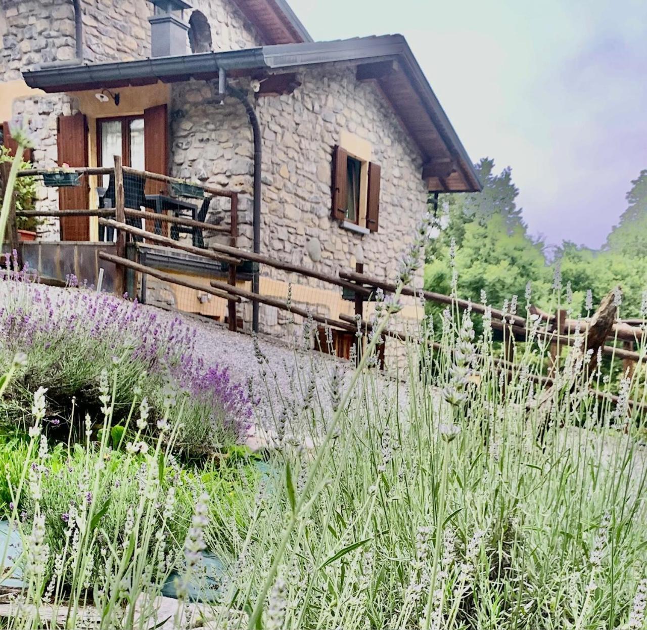 Agriturismo Il Talento Nella Quiete Agroturismo Castiglione dʼIntelvi